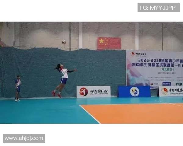 武汉排球队最新排球配合技巧TOP10引领潮流助力团队竞技表现提升