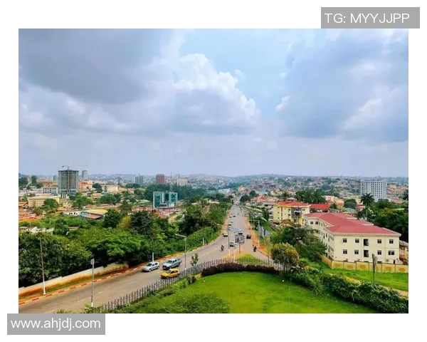 喀麦隆与克罗地亚比赛中最荒唐红牌事件引发热议与争议